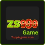 ZS999 Game