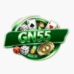 GN 55 Game